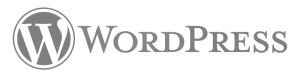 wordpress Agema Advertising Strategic and Digital Agency Perth, covers strategy, marketing, branding, social, website